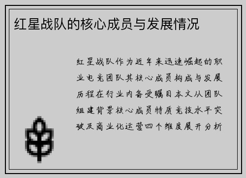 红星战队的核心成员与发展情况